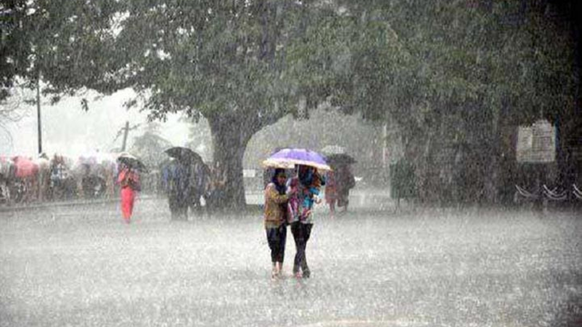 নিম্নচাপ অঞ্চল দুর্বল হলেও দোসর ঘূর্ণাবর্ত! বজ্রবিদ্যুৎ-সহ বৃষ্টি চলবে দক্ষিণবঙ্গে